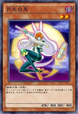 月光白兎(ムーンライト・ホワイト・ラビット