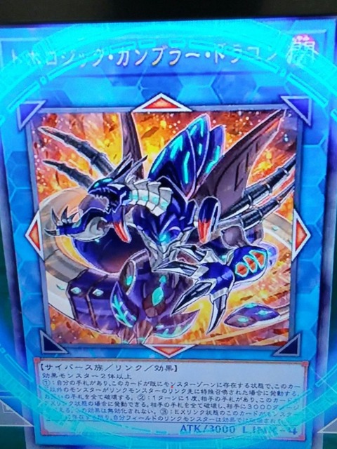 トポロジック・ガンブラー・ドラゴン