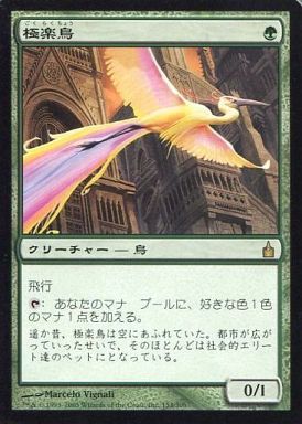 極楽鳥
