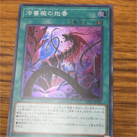 冷薔薇の抱香