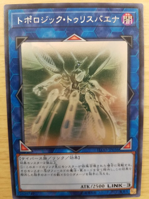 トポロジック・トゥリスバエナ ホロ