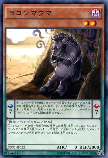ヨコシマウマ