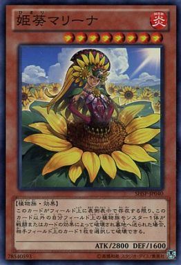 姫葵マリーナ