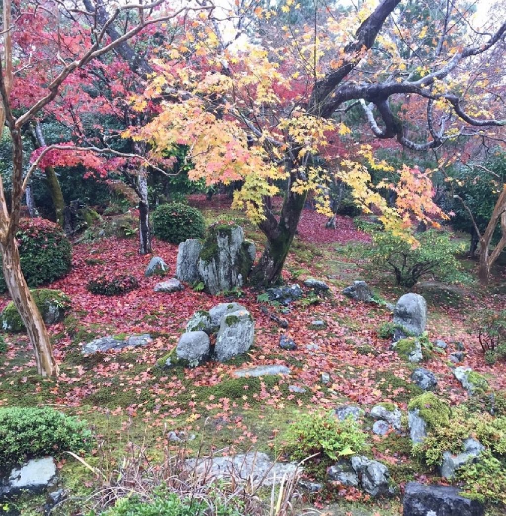 紅葉写真1