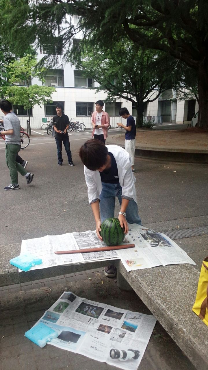 Image_bf71484