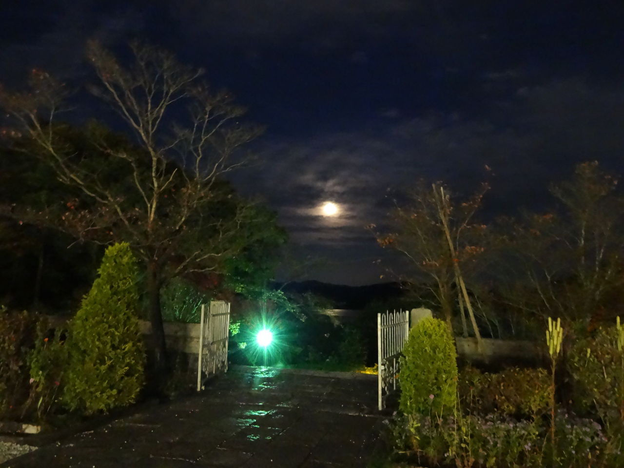 DSC01171