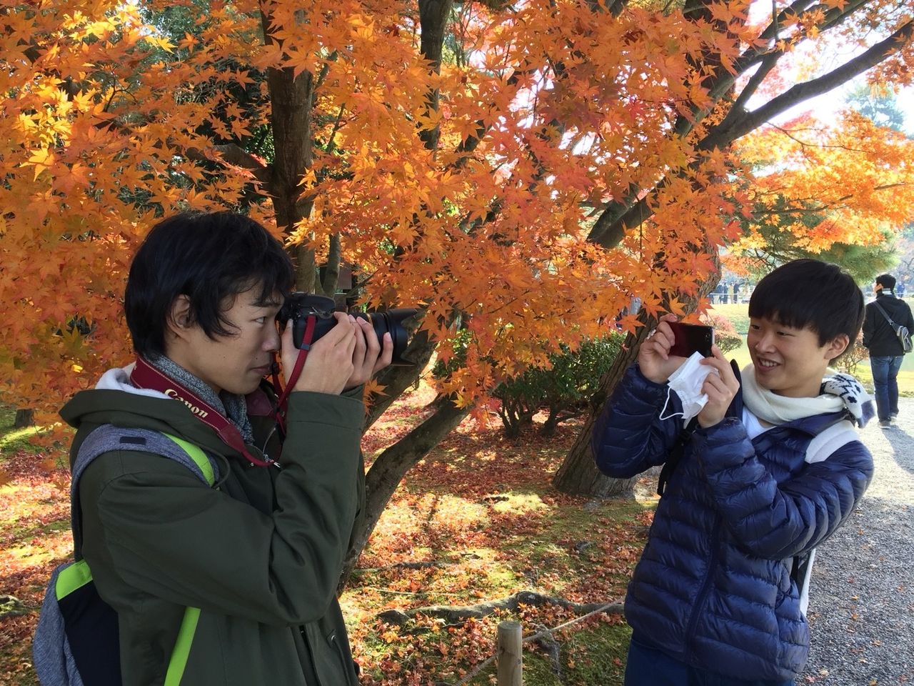 紅葉いこーよー_171213_0004