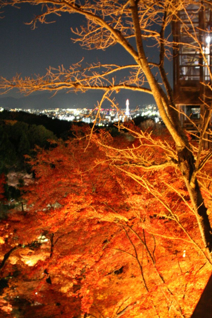 紅葉いこーよー_171213_0330