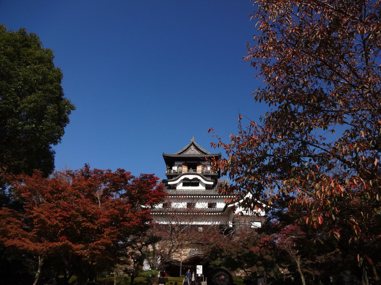 DSC00969