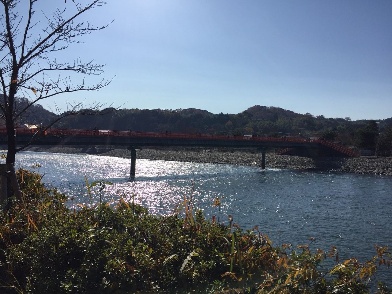宇治川_171213_0009