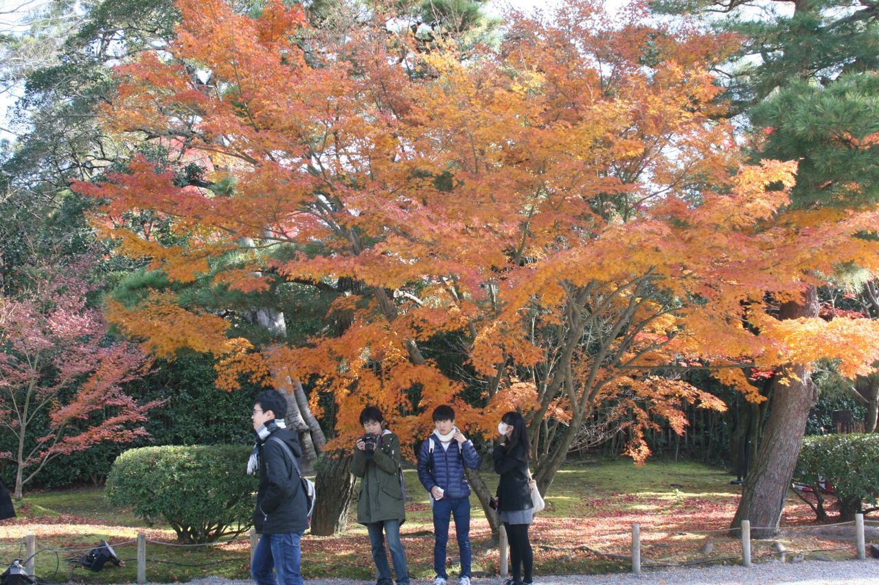 紅葉いこーよー_171213_0245