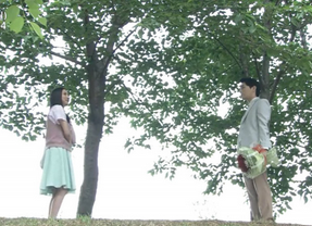私の心は花の雨 DVD