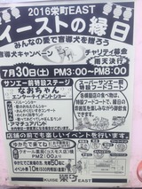 331938d0.jpg