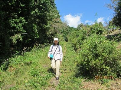 20 大枯木坂①