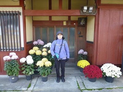 050 満開の菊
