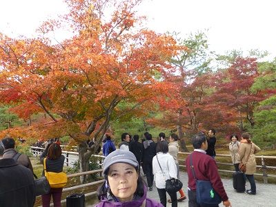 129 金閣寺境内の紅葉