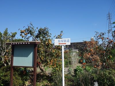 089 佐屋街道道標