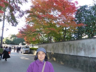 036 東福寺付近