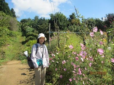 20 大枯木坂②(民家の花壇)