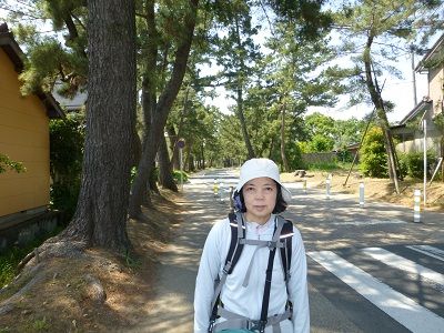 069 御油・松並木①