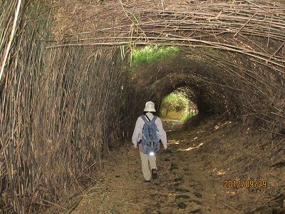 15 甲石坂③(やぶトンネル)