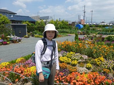 021 街道沿いの花壇(桜町)