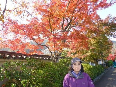 086 天龍寺参道