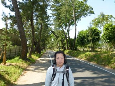 073 御油・松並木②