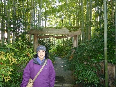 041 竹林の家の門前