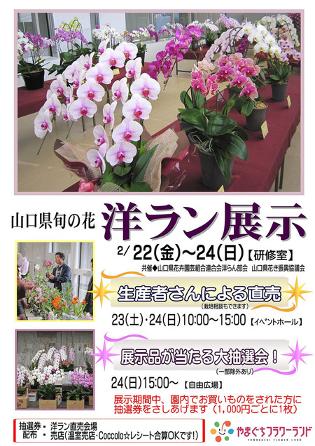 洋ラン展示
