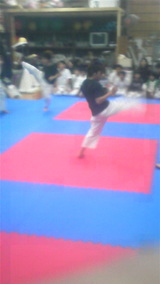 03296d95.jpg