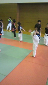 6e535555.jpg