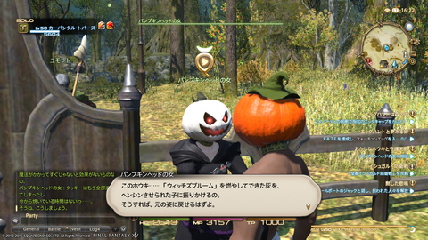 Wakame Kuki 2015_10_26 16_22_34