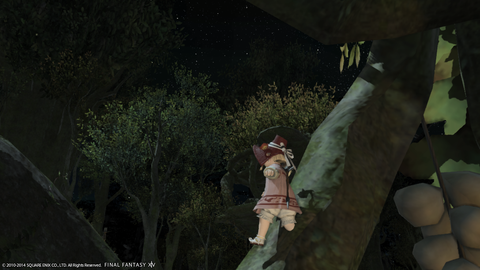 Wakame Kuki 2014_07_01 07_54_58