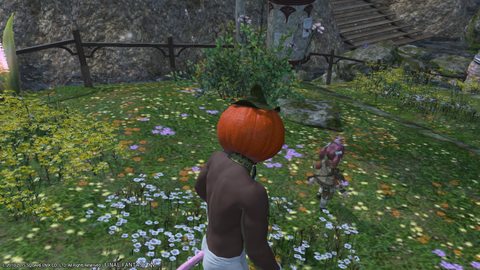 Wakame Kuki 2015_12_18 20_22_27