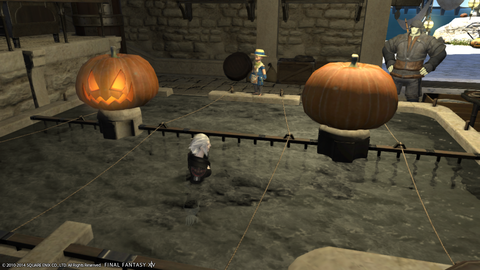Wakame Kuki 2014_11_03 16_12_00