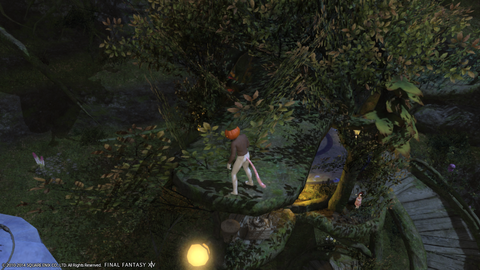 Wakame Kuki 2014_07_01 08_10_37