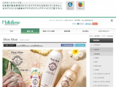モエモエホームページのスクリーンショット