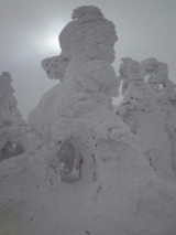 6114a78b.jpg