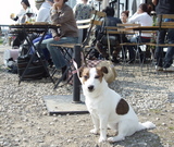 57c71257.jpg