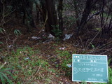 P1020317