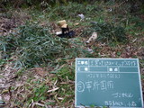 P1020320