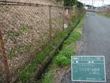 P1020323