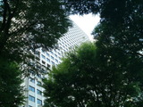 2813402d.jpg