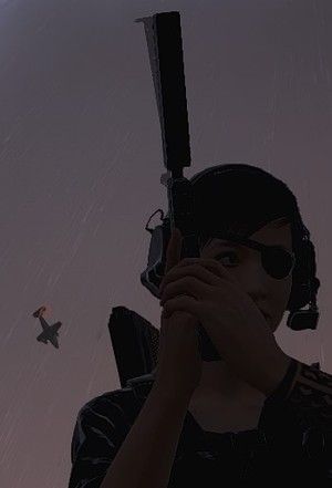 bfgsfsaa (2)