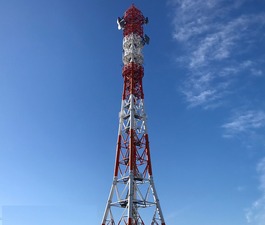 IMG_8593 1