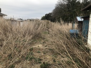 IMG_2411