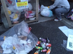 IMG_9494