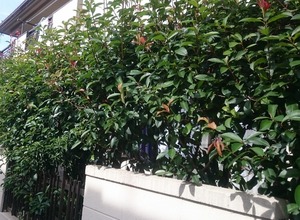 施工前20161004
