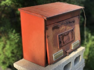 IMG_4970